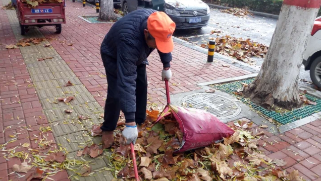 風(fēng)急雨驟落葉多 周口環(huán)衛(wèi)工人清掃忙