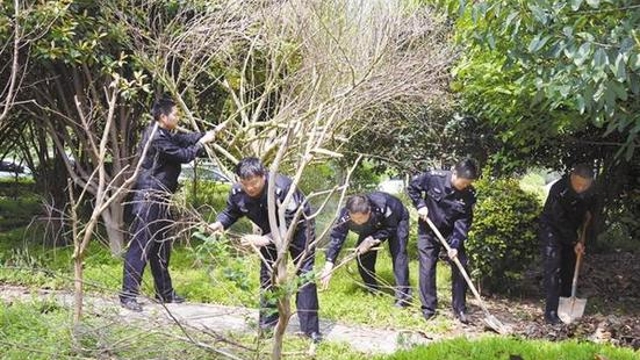 周口“創(chuàng)衛(wèi)”：刑警在行動