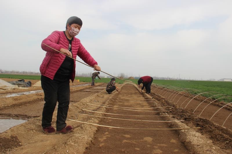 疫情防控、春耕生產(chǎn)兩手抓