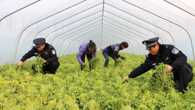 [商水]安全宣傳到田間